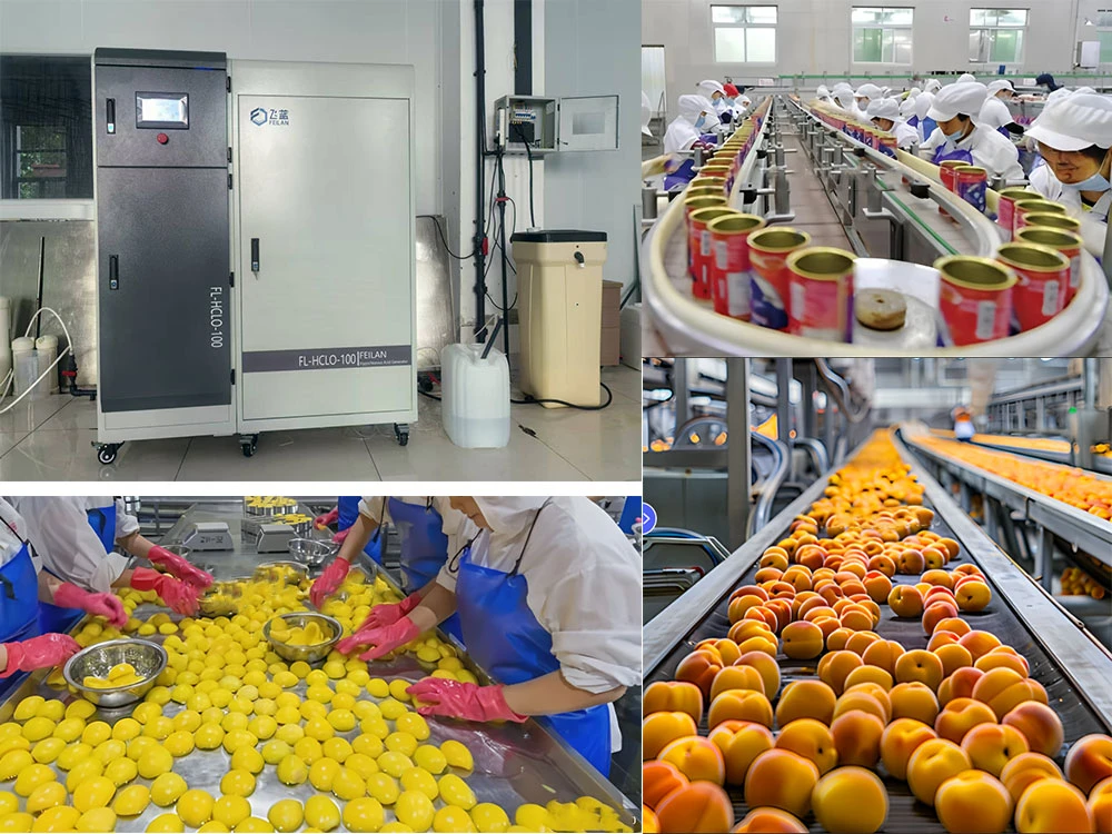 Hypochlorous acid generators are used in canning factories