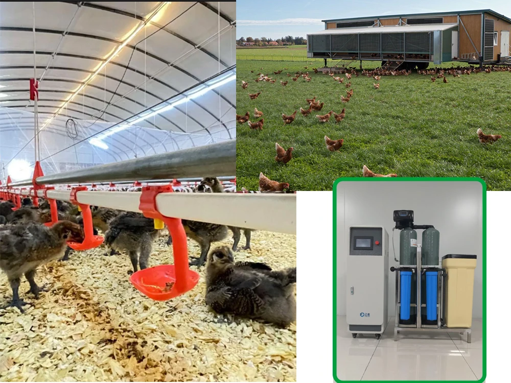 Hypochlorous acid generator is shipped to South America for deodorization of livestock breeding