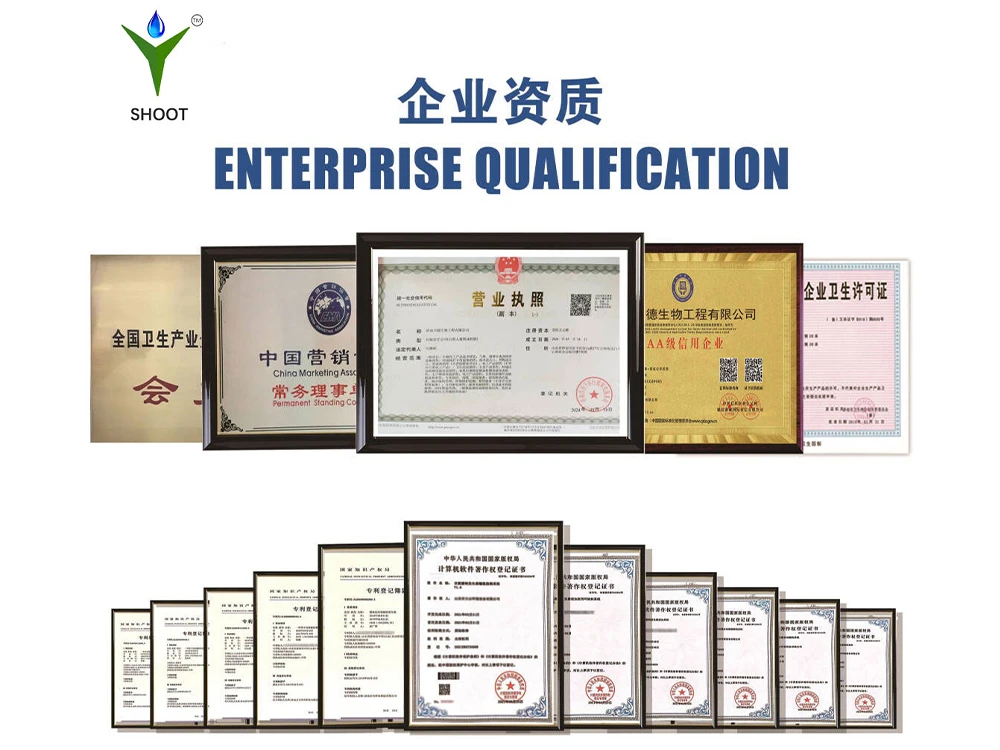 Sodium hypochlorite generator certificate