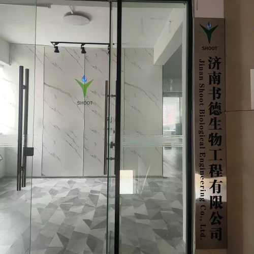 Sodium hypochlorite generator factory