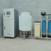 Hypochlorous acid generator used for salmon cleaning processing disinfection