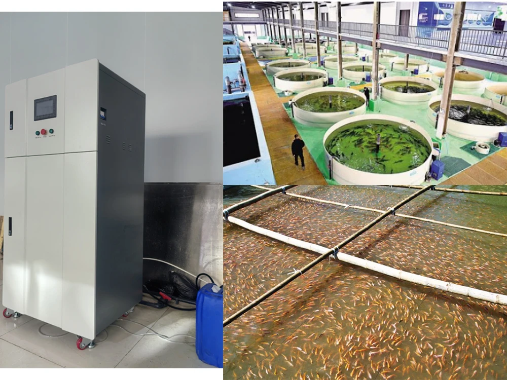 No toxic by-products: under appropriate concentration and conditions, hypochlorous acid disinfection is not easy to produce trihalomethane and other toxic by-products, and is more environmentally friendly.