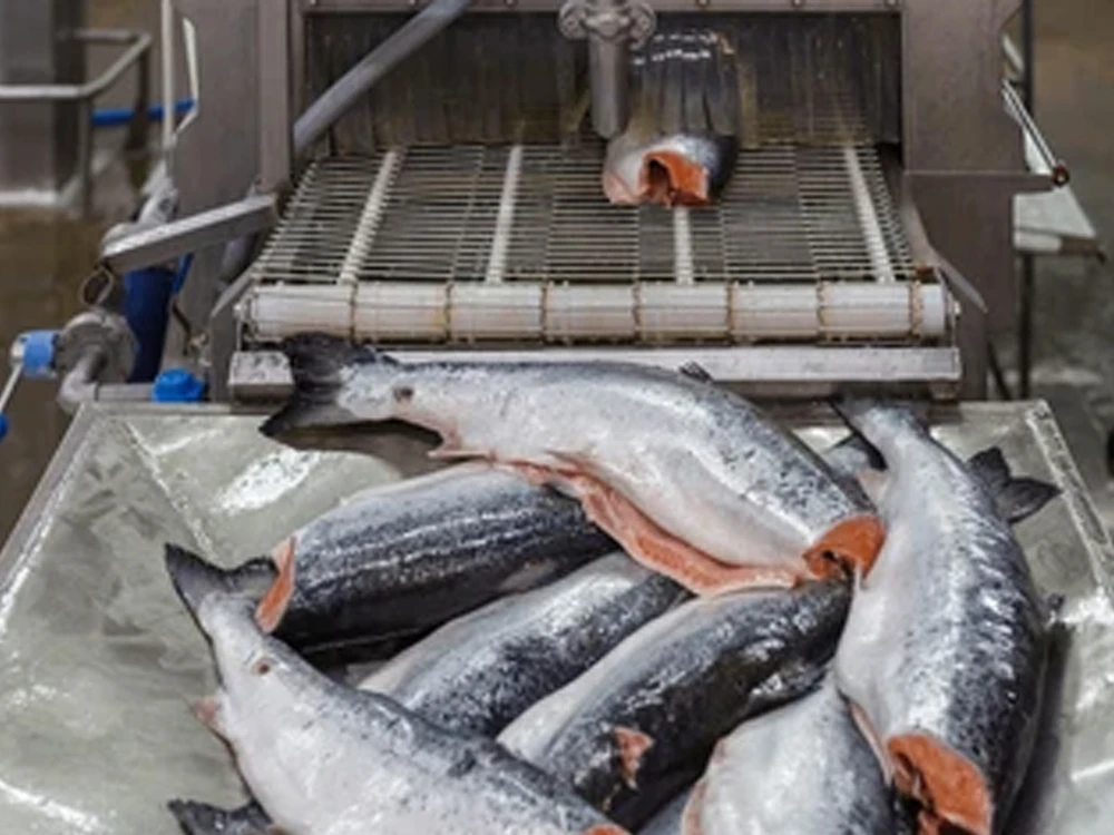 Hypochlorous acid generator used for seafood preservation, disinfection