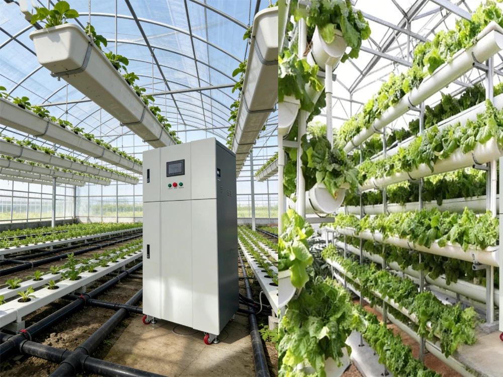 Hypochlorous-acid-generator-is-used-for-hydroponics.