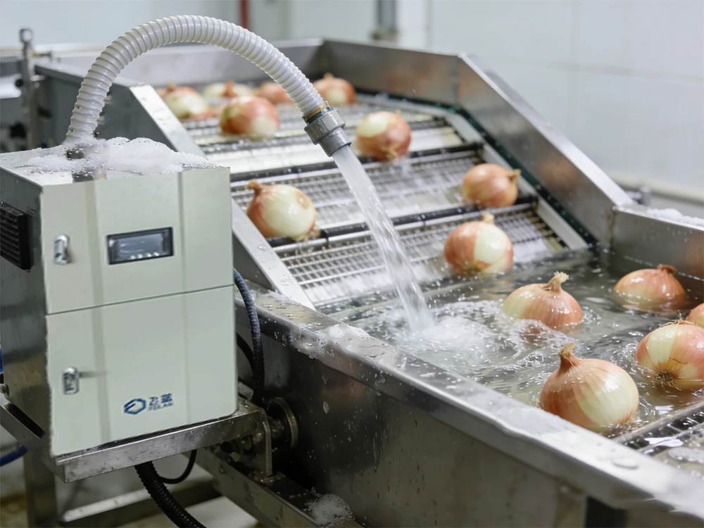 Hypochlorous-acid-generator-is-used-for-onion-cleaning-and-disinfection