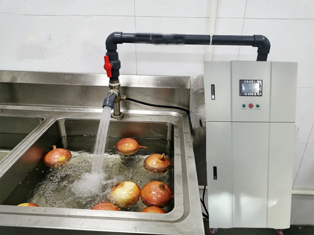 Hypochlorous-acid-generator-is-used-for-onion-disinfection