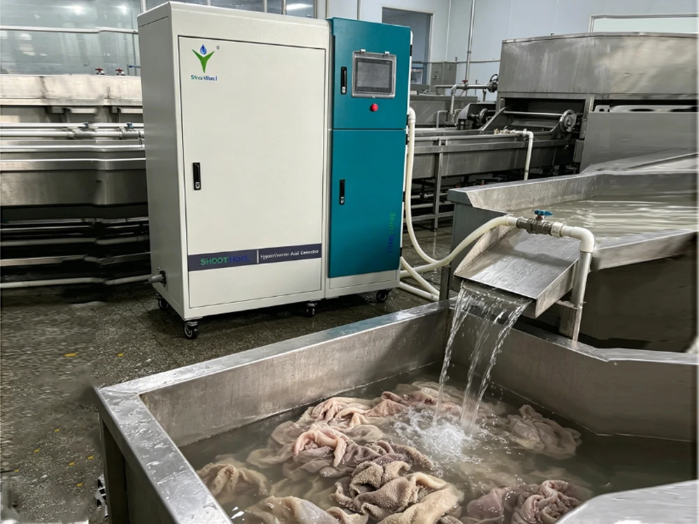 Application of hypochlorous acid generator in tripe cleaning and disinfection