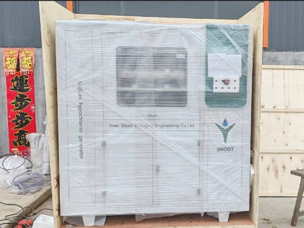Installation of sodium hypochlorite generator