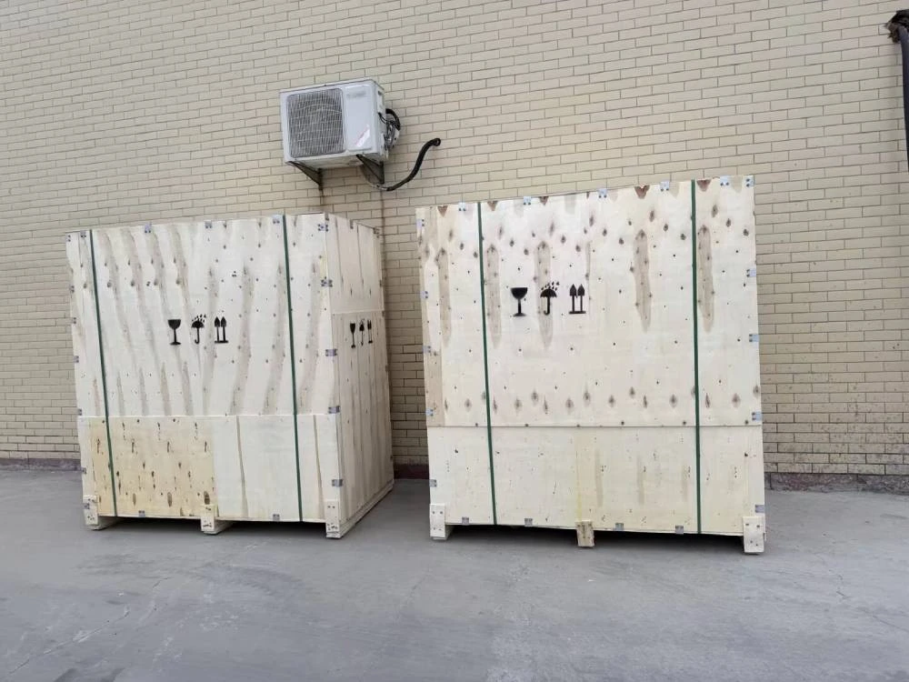 Sodium hypochlorite generator shipped